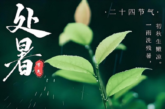 处暑：夏日的谢幕，秋意的序曲